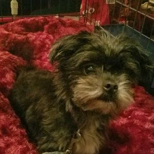 Meet your Posher, Nathaniel